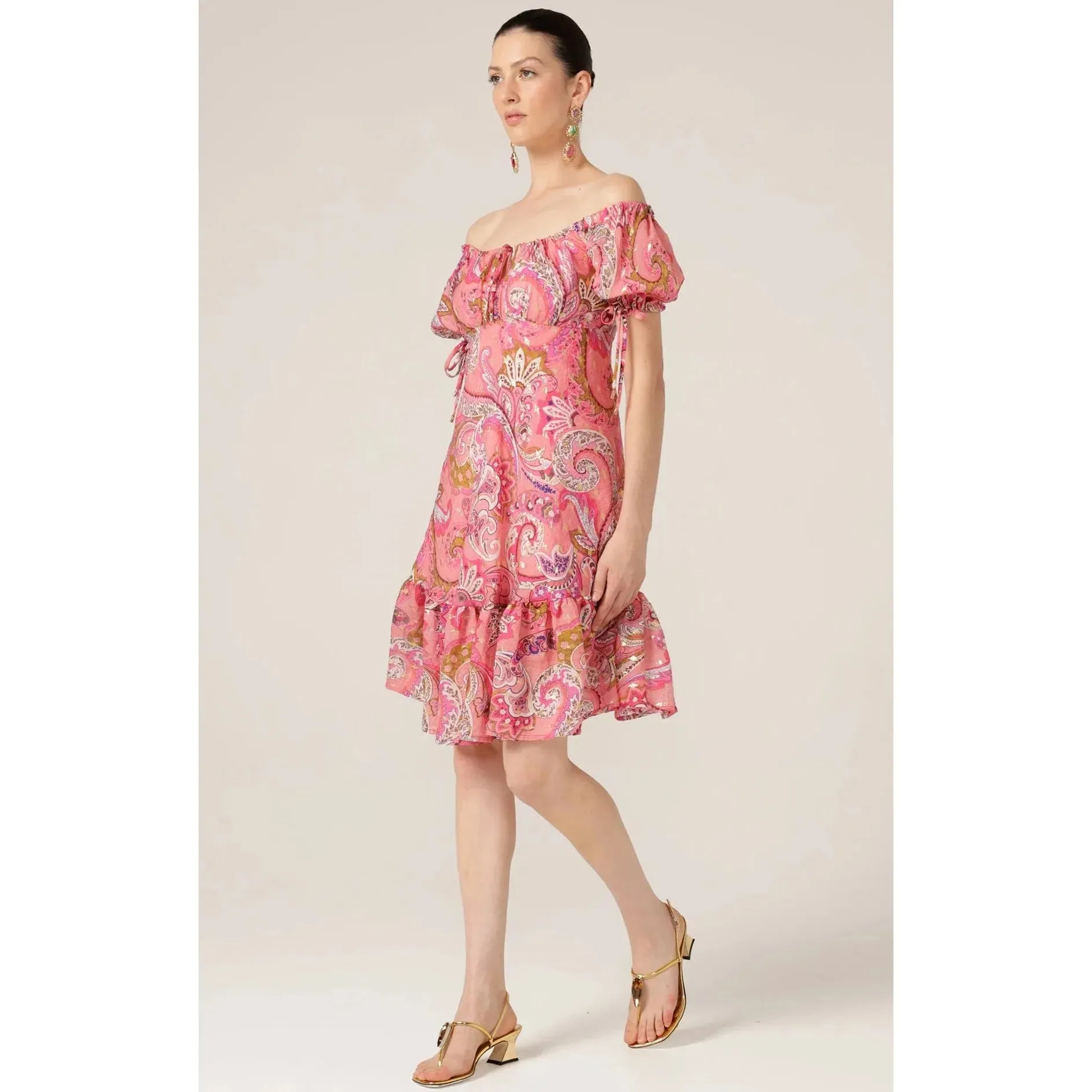 Sacha Drake Rosy Finch Dress (Pink Paisley)