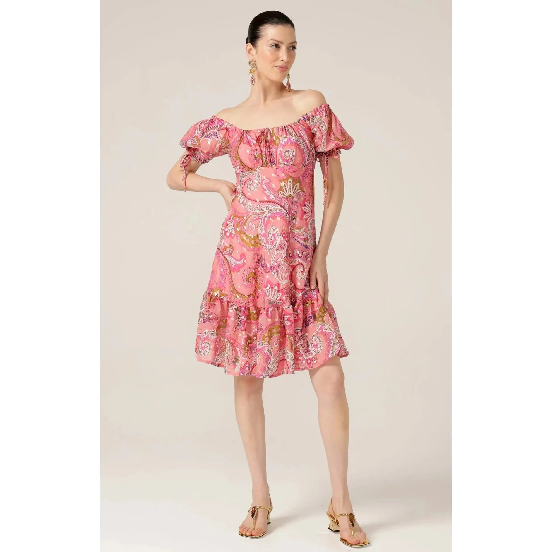 Sacha Drake Rosy Finch Dress (Pink Paisley)